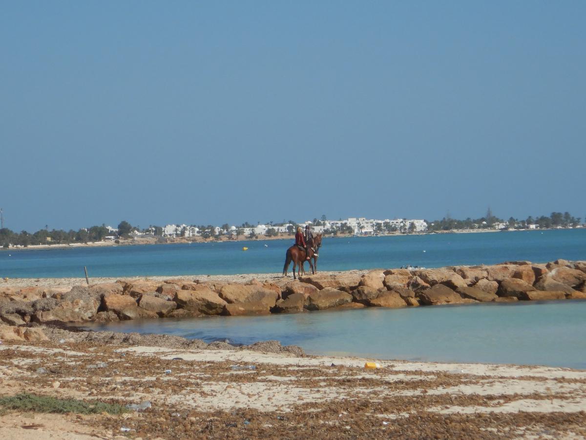 Maison Les Palmiers 300M De La Plage Aghīr Zewnętrze zdjęcie